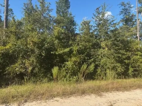 0 Mulberry Drive Marianna FL 32448
