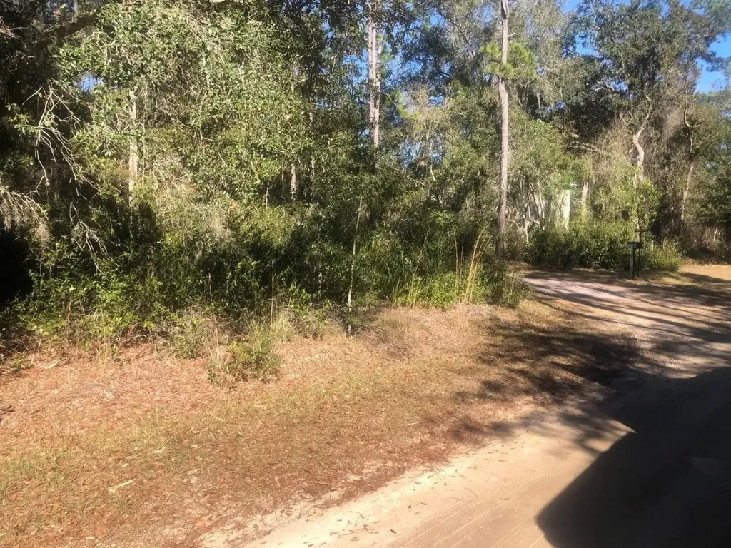 0 Lakeshore Terrace Interlachen FL 32148