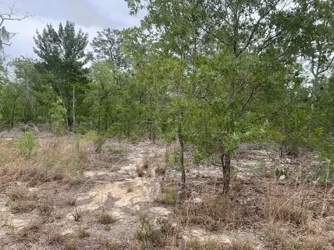 0 Gray Street Interlachen FL 32148