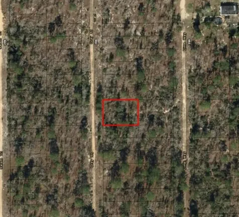 0 Gray Street Interlachen FL 32148
