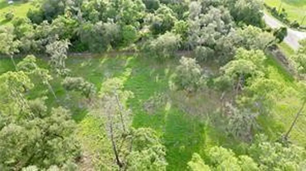 2115 N Cr 78 Road Labelle FL 33935