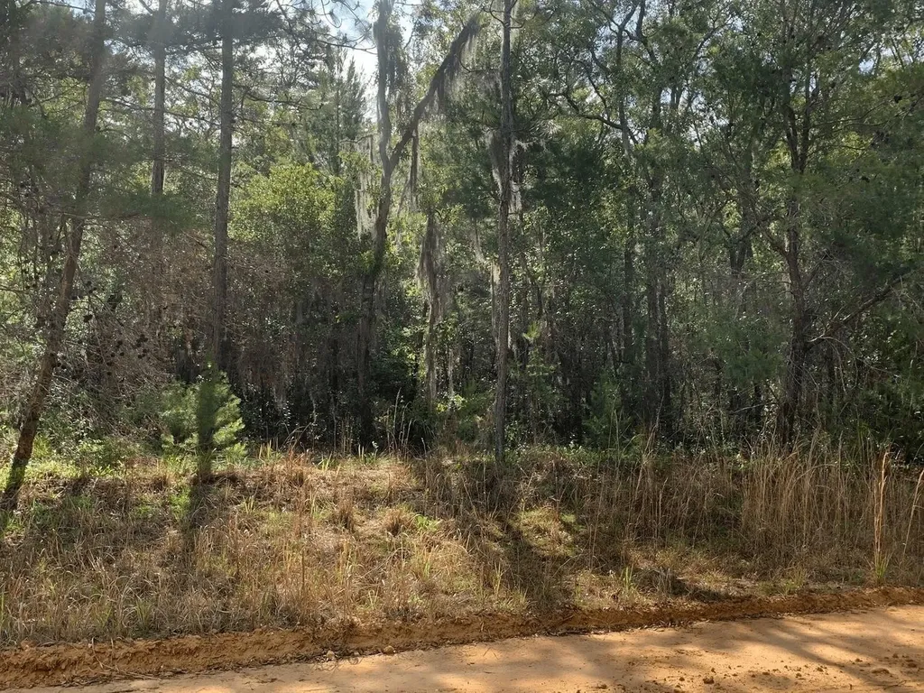 0 Shappell Avenue Interlachen FL 32148