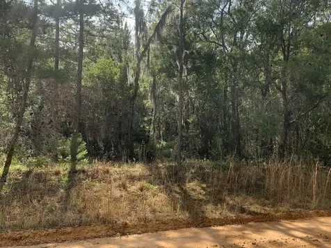 0 Shappell Avenue Interlachen FL 32148