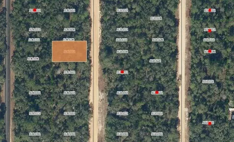 0 David Avenue Interlachen FL 32148