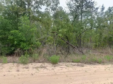 0 May Lane Interlachen FL 32148