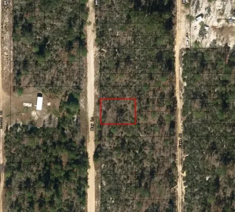 0 May Lane Interlachen FL 32148