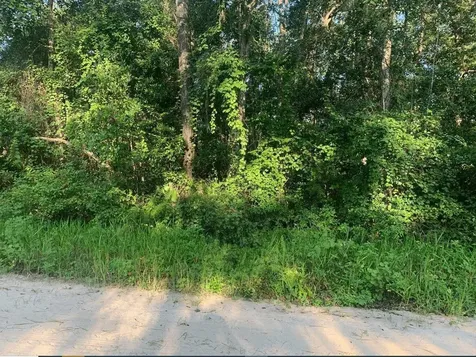 0 Ida Boulevard Interlachen FL 32148