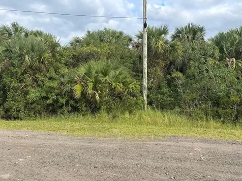 3223 SW Mockingbird Avenue Palm Bay FL 32908