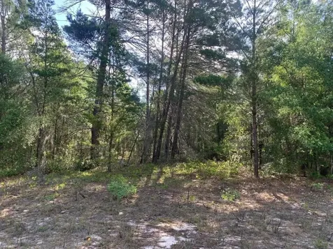 0 Evans Avenue Interlachen FL 32148