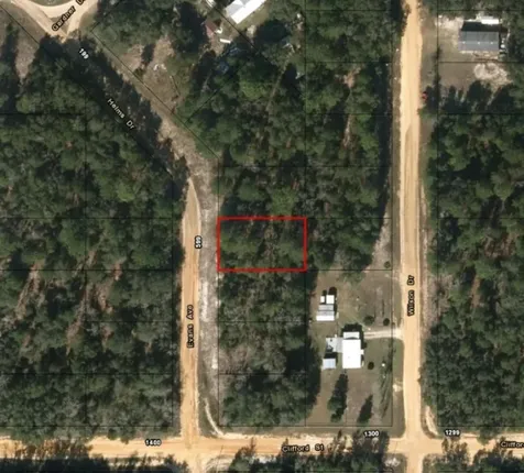0 Evans Avenue Interlachen FL 32148