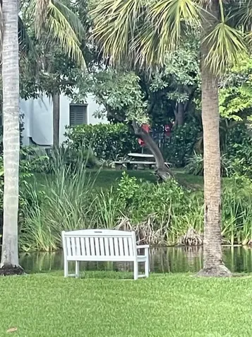 1440 SE 10th Avenue Fort Lauderdale FL 33316