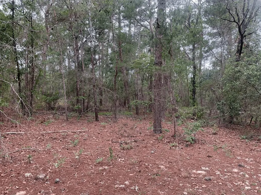 0 Citrus Street Interlachen FL 32148