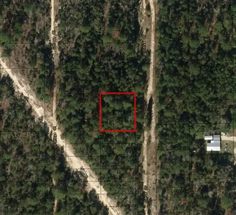 0 Citrus Street Interlachen FL 32148