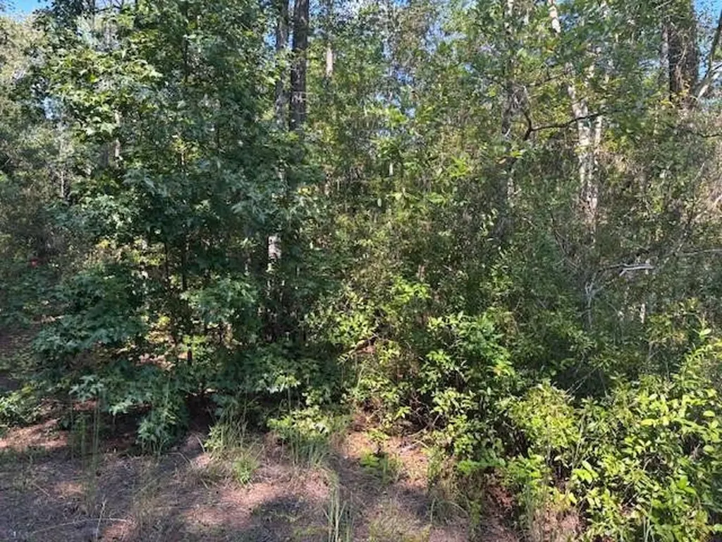 0 SE 8th Avenue Palatka FL 32177