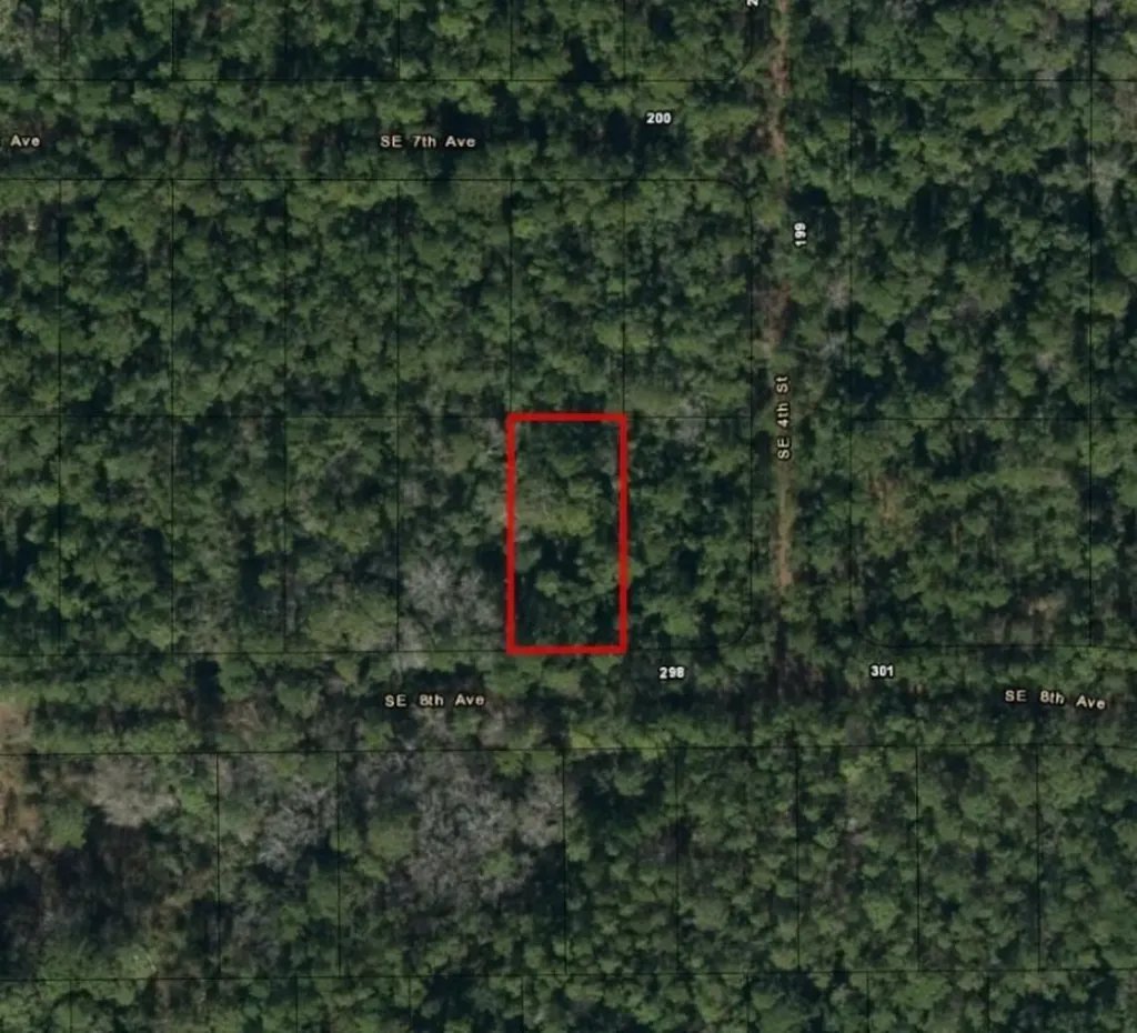 224 SE 8th Avenue Palatka FL 32177