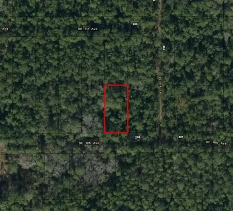 224 SE 8th Avenue Palatka FL 32177