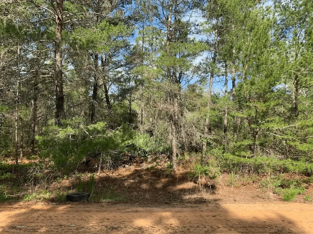 0 Louise Avenue Interlachen FL 32148