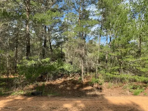 0 Louise Avenue Interlachen FL 32148