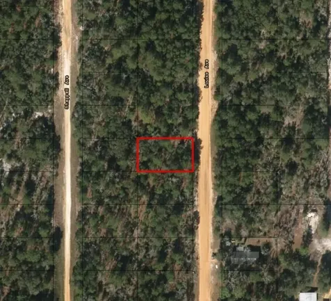 0 Louise Avenue Interlachen FL 32148