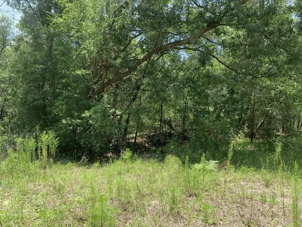 0 Oklahoma Avenue Satsuma FL 32189