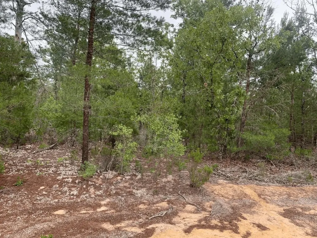0 Gray Street Interlachen FL 32148