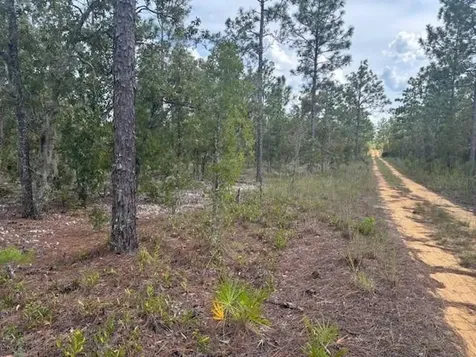 0 Gray Street Interlachen FL 32148