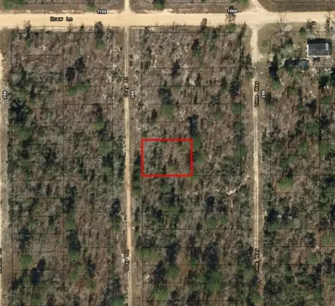 0 Gray Street Interlachen FL 32148