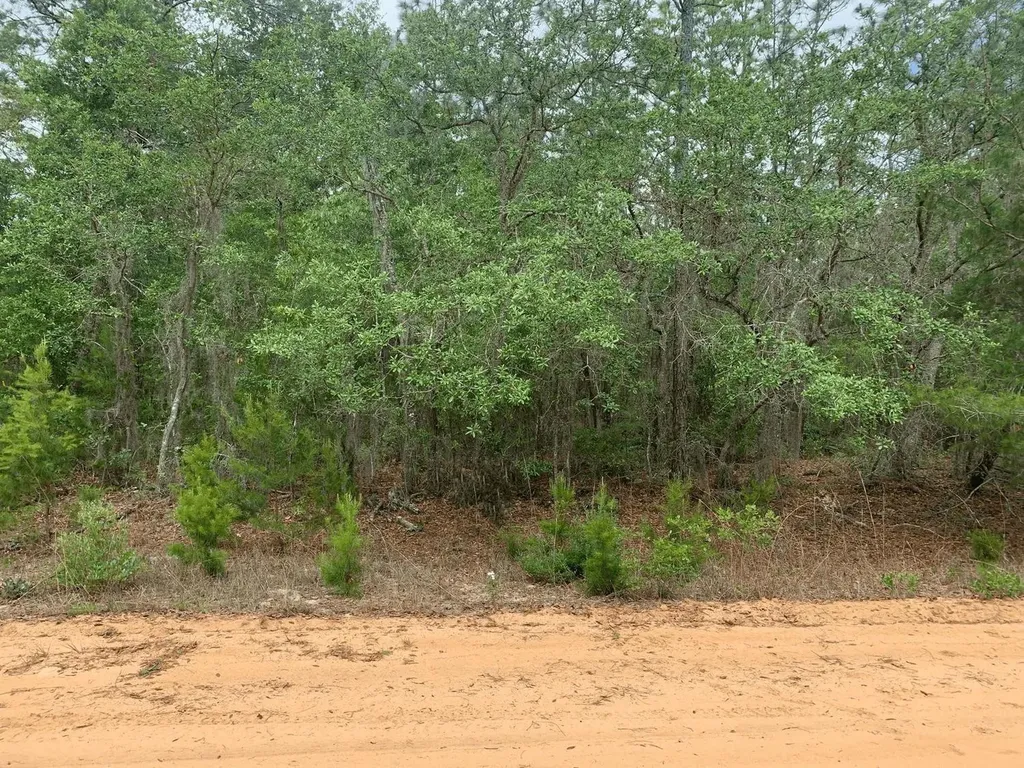 0 David Avenue Interlachen FL 32148