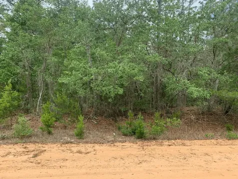 0 David Avenue Interlachen FL 32148