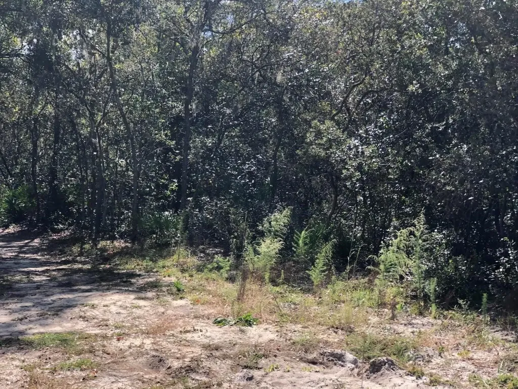 0 Oregon Street Interlachen FL 32148