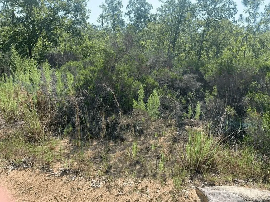 214 Marion Trail Interlachen FL 32148