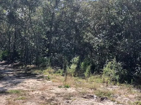 0 Maine Avenue Interlachen FL 32148