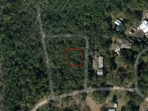 0 Maine Avenue Interlachen FL 32148