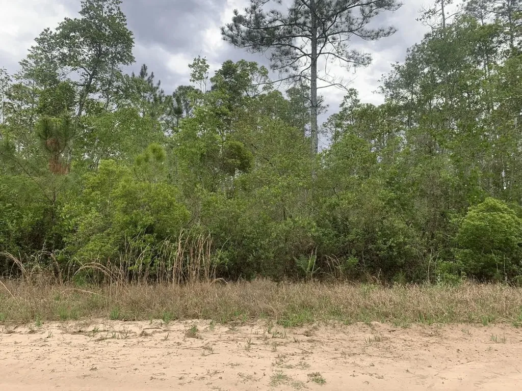 0 W Basford Street Interlachen FL 32148