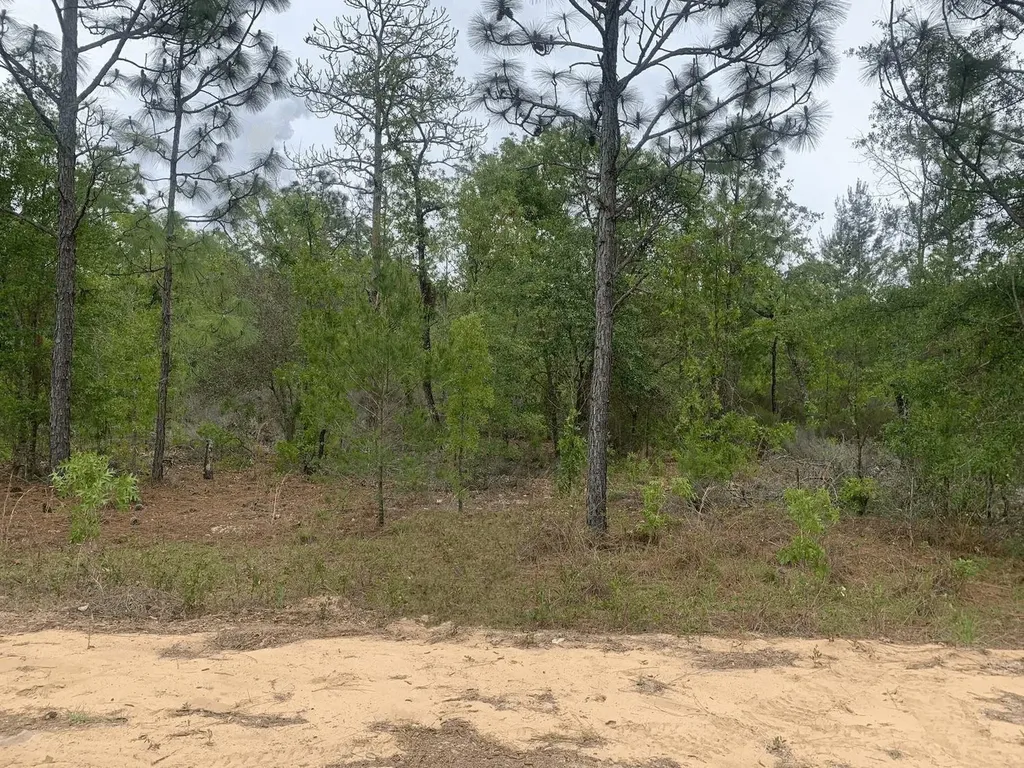 0 May Lane Interlachen FL 32148