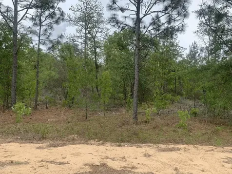 0 May Lane Interlachen FL 32148
