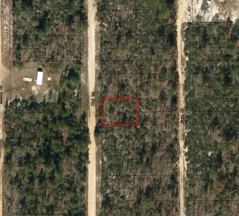0 May Lane Interlachen FL 32148