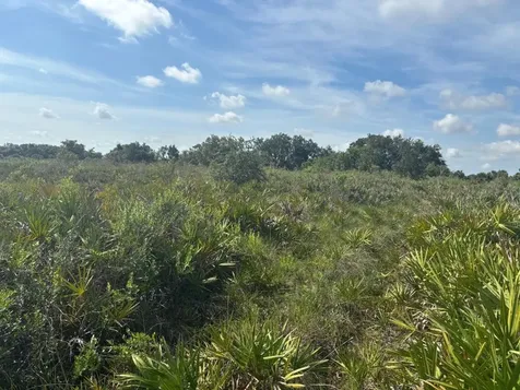 0 NW 310th Street Okeechobee FL 34972