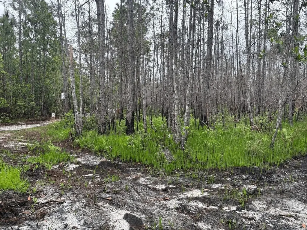 0 Holopaw Groves Road St. Cloud FL 34772