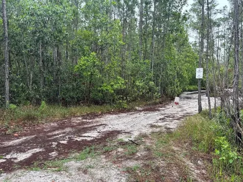 0 Holopaw Groves Road St. Cloud FL 34772