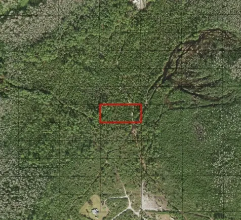 0 Holopaw Groves Road St. Cloud FL 34772
