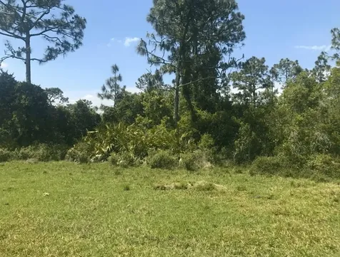 0 Holopaw Groves Road St. Cloud FL 34772