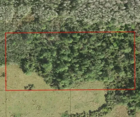 0 Holopaw Groves Road St. Cloud FL 34772