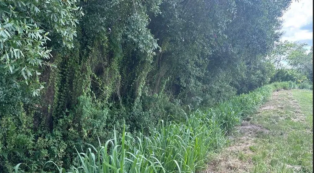 0 NE 13th Avenue Okeechobee FL 34972