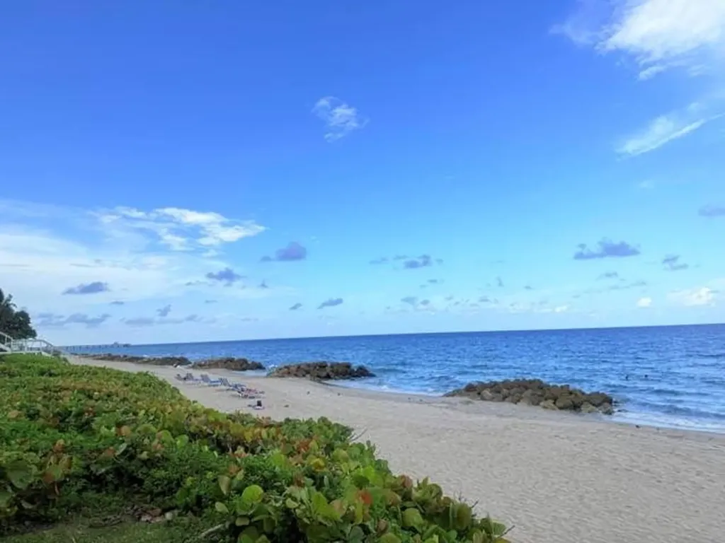 961 SE 20th Avenue Deerfield Beach FL 33441