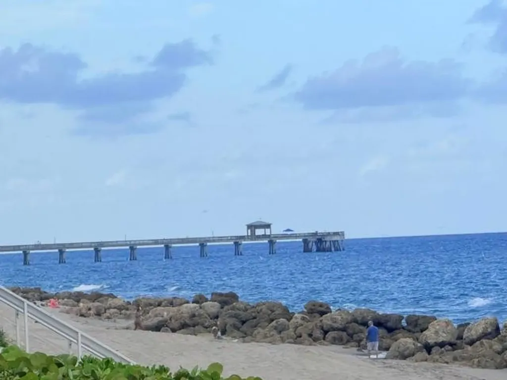 961 SE 20th Avenue Deerfield Beach FL 33441