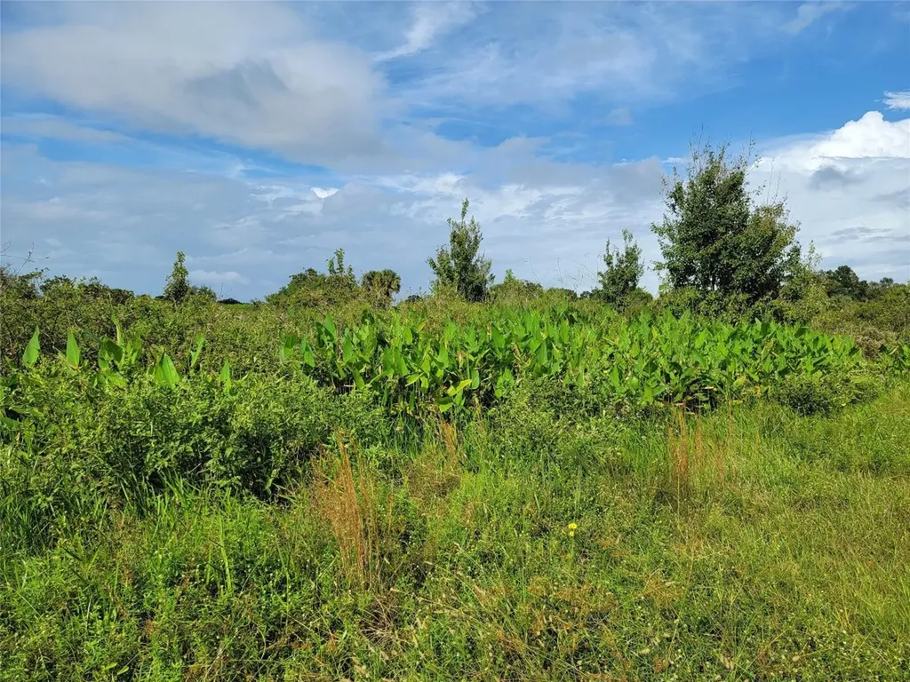 17275 NW 260th Street Okeechobee FL 34972