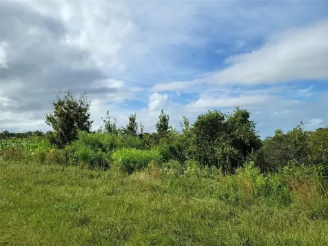 17275 NW 260th Street Okeechobee FL 34972