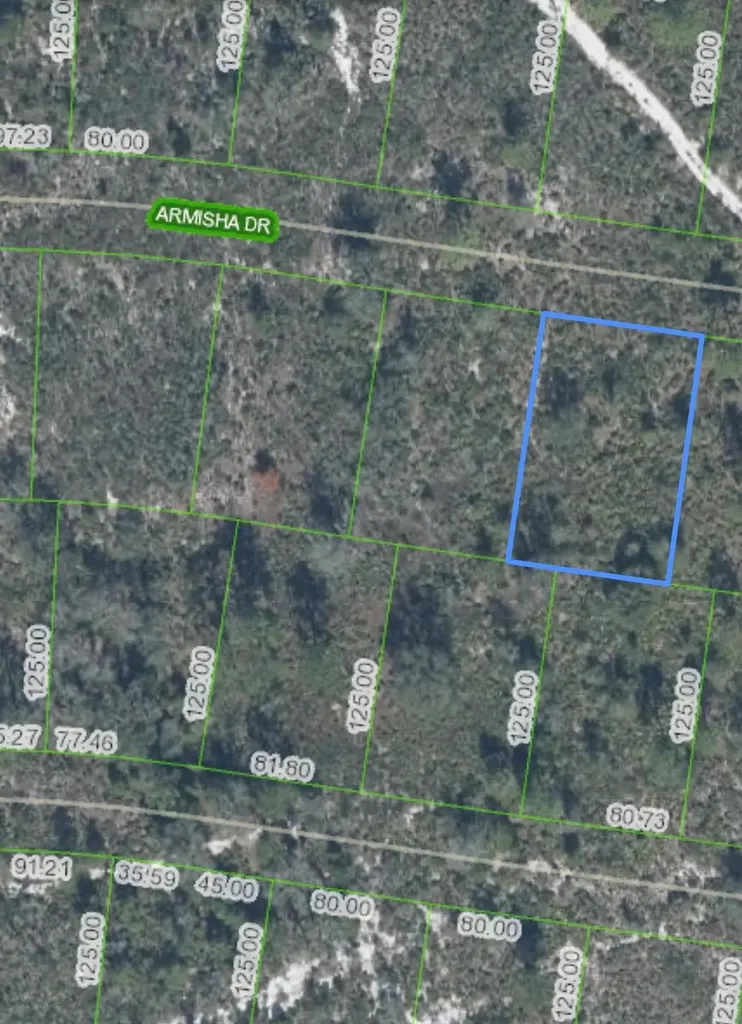 8121 Armisha Sebring FL 33870
