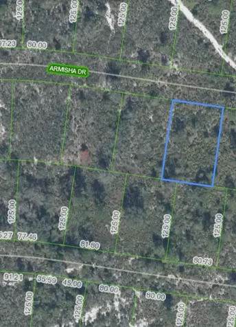8121 Armisha Sebring FL 33870